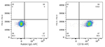 CD1b Antibody in Flow Cytometry (Flow)