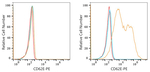 E-selectin Antibody in Flow Cytometry (Flow)
