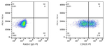 E-selectin Antibody in Flow Cytometry (Flow)