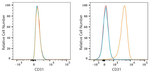 CD31 Antibody in Flow Cytometry (Flow)