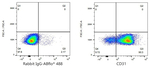 CD31 Antibody in Flow Cytometry (Flow)