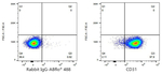 CD31 Antibody in Flow Cytometry (Flow)