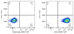 CD34 Antibody in Flow Cytometry (Flow)