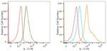 IL-13 Recombinant Rabbit Monoclonal Antibody (2T1Y1)