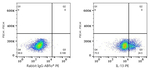 IL-13 Antibody in Flow Cytometry (Flow)
