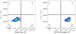 CD105 Antibody in Flow Cytometry (Flow)