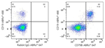 CD79b Antibody in Flow Cytometry (Flow)
