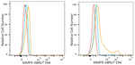 MMP9 Antibody in Flow Cytometry (Flow)