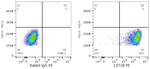 CD138 Antibody in Flow Cytometry (Flow)