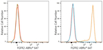 FGFR2 Antibody in Flow Cytometry (Flow)