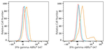 IFN gamma Antibody in Flow Cytometry (Flow)