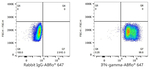 IFN gamma Antibody in Flow Cytometry (Flow)