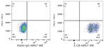 IL-12 p40 Antibody in Flow Cytometry (Flow)