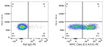 MHC Class II (I-A/I-E) Antibody in Flow Cytometry (Flow)