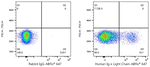 Kappa Light Chain Antibody in Flow Cytometry (Flow)