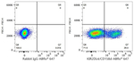 KIR2DL4 Antibody in Flow Cytometry (Flow)