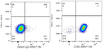 CD80 Antibody in Flow Cytometry (Flow)