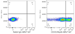 NKp46 Antibody in Flow Cytometry (Flow)