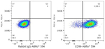 CD96 Antibody in Flow Cytometry (Flow)