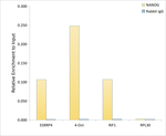 Nanog Antibody in ChIP Assay (ChIP)