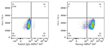 Nanog Antibody in Flow Cytometry (Flow)