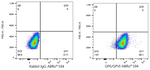 GP6 Antibody in Flow Cytometry (Flow)