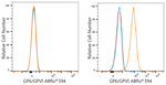 GP6 Recombinant Rabbit Monoclonal Antibody (4I4U7)