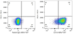 CD1d Antibody in Flow Cytometry (Flow)