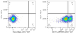 CD355 (CRTAM) Antibody in Flow Cytometry (Flow)