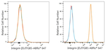 ITGB5 Recombinant Rabbit Monoclonal Antibody (5U9H2)