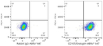 CD105 Antibody in Flow Cytometry (Flow)