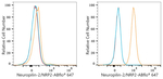Neuropilin 2 Antibody in Flow Cytometry (Flow)