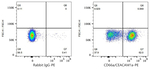 CD66a Antibody in Flow Cytometry (Flow)