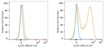 IL23R Recombinant Rabbit Monoclonal Antibody (6L2S7)