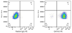 Gata-3 Antibody in Flow Cytometry (Flow)