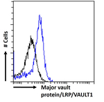 MVP Antibody in Flow Cytometry (Flow)