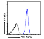 CD59 Recombinant Rabbit Monoclonal Antibody (BR1-10G)