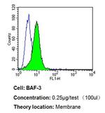 CD58 Antibody in Flow Cytometry (Flow)