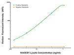 MAGEB1 Antibody in Luminex (Luminex)