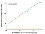 MAGEB1 Antibody in Luminex (Luminex)