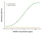 MAP2K1 Antibody in ELISA (ELISA)