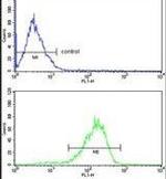 MAP2 Antibody in Flow Cytometry (Flow)