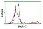 MAPK7 Antibody in Flow Cytometry (Flow)