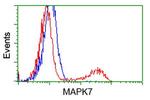 MAPK7 Antibody in Flow Cytometry (Flow)