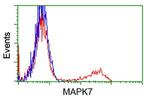 MAPK7 Antibody in Flow Cytometry (Flow)