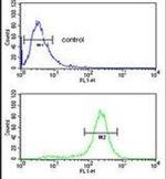 MASTL Antibody in Flow Cytometry (Flow)