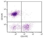 CD5 Antibody in Flow Cytometry (Flow)