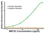 MEF2C Antibody in ELISA (ELISA)