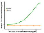 MEF2C Antibody in ELISA (ELISA)