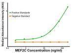 MEF2C Antibody in ELISA (ELISA)